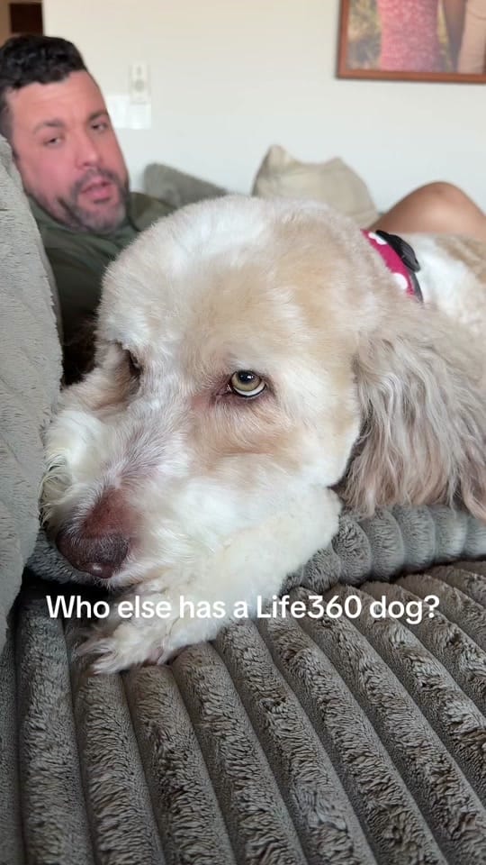 Post 4 by Kayli Henley on TikTok (video)