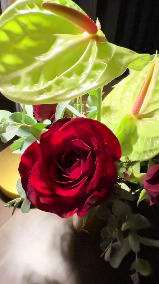 Post 5 by Kayli Henley on TikTok (video)