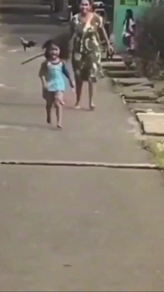 Post 2 by Greyxfc on TikTok (video)