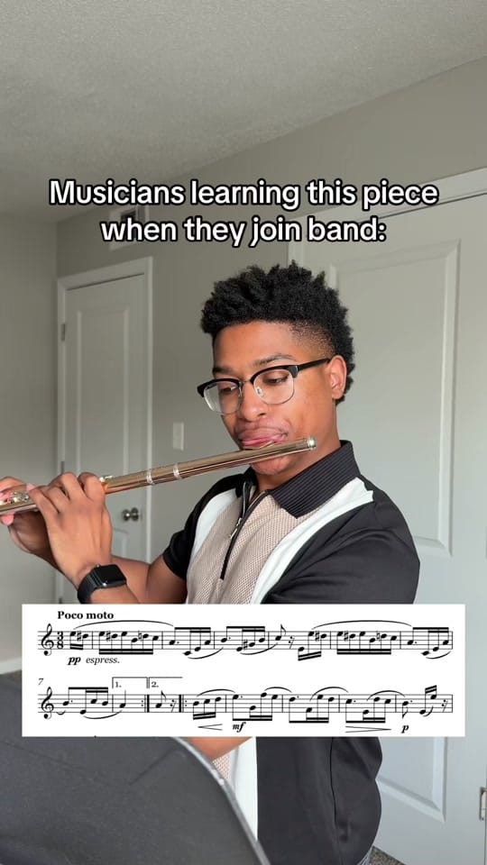 Post 3 by tyreewilsonflute on TikTok (video)