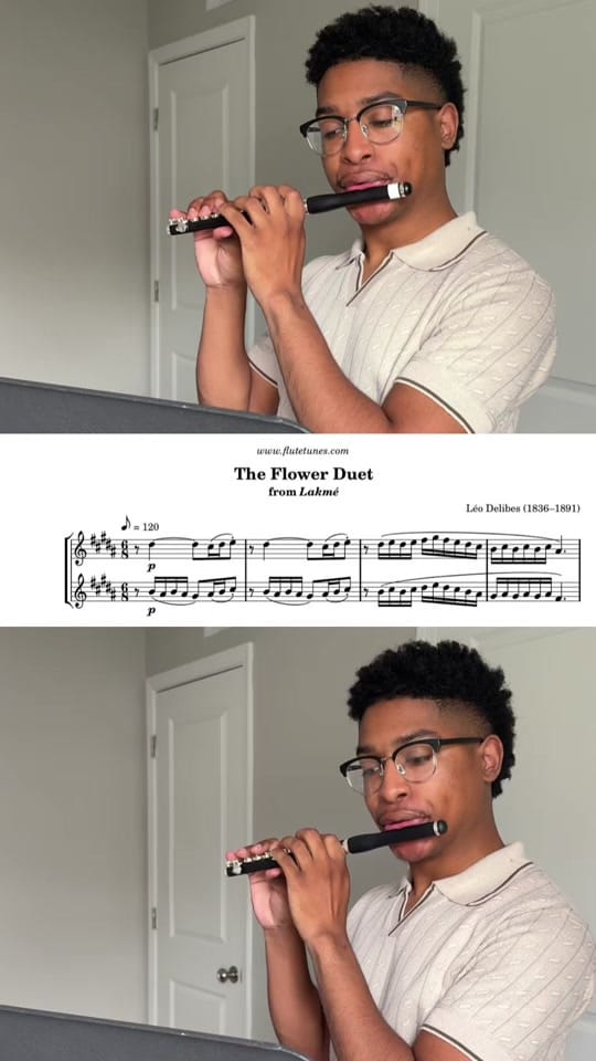 Post 5 by tyreewilsonflute on TikTok (video)