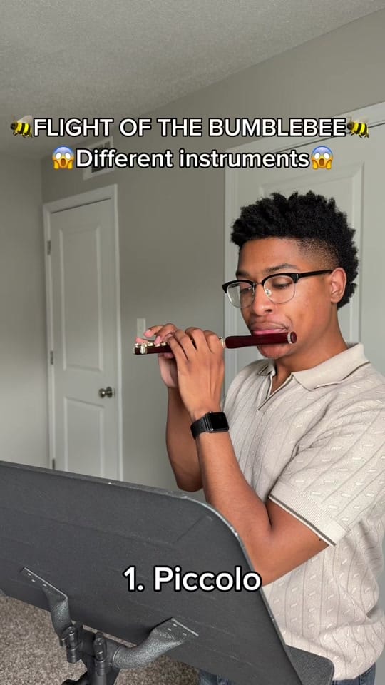 Post 4 by tyreewilsonflute on TikTok (video)