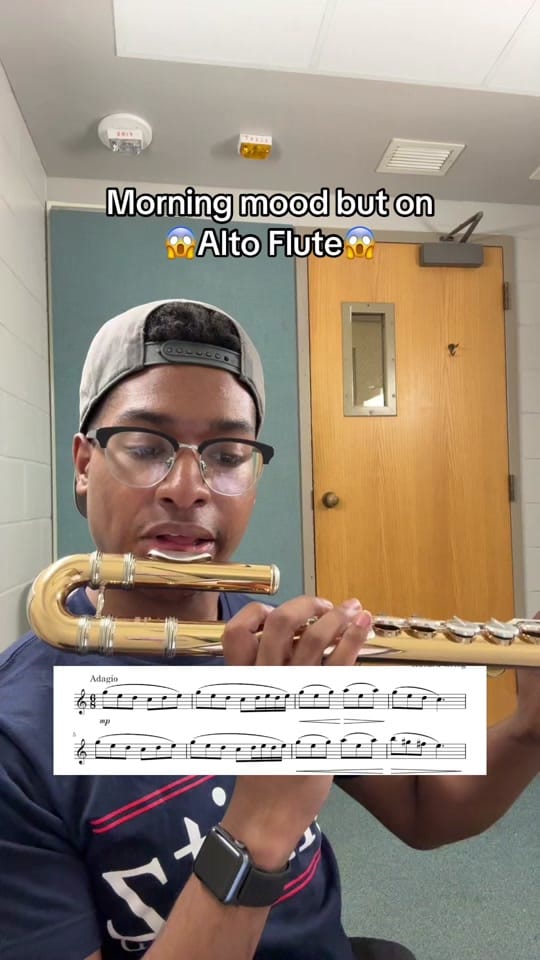 Post 1 by tyreewilsonflute on TikTok (video)