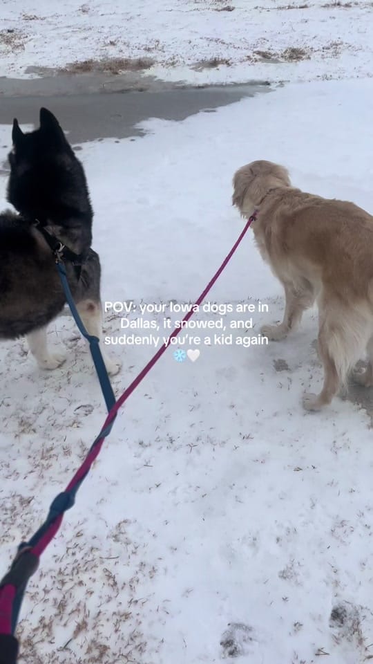 Post 3 by Britt💕 on TikTok (video)