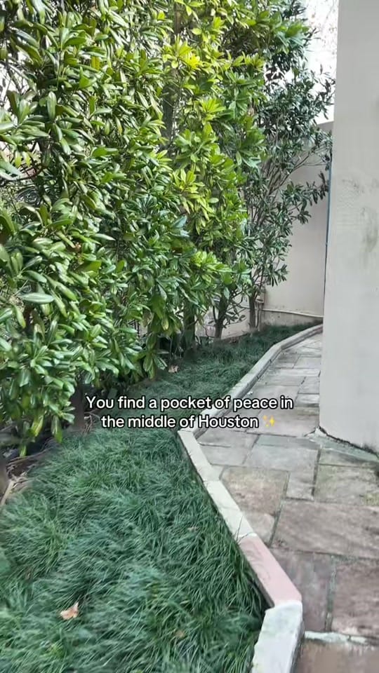 Post 5 by Vanessa on TikTok (video)