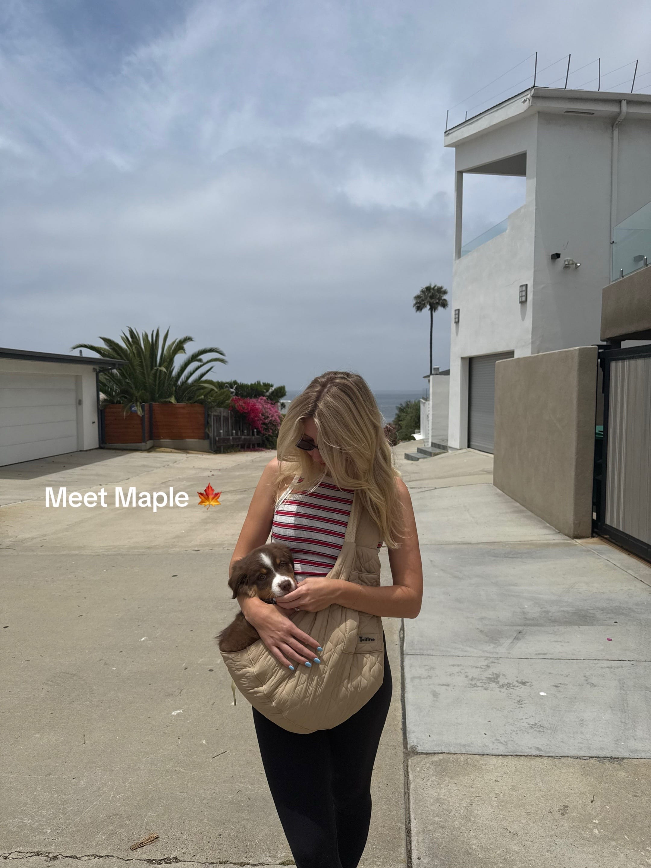 Post 9 by Sierra Mack on TikTok (video)
