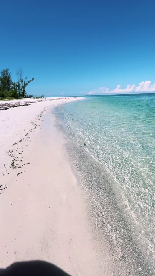 Post 7 by seaddyction on TikTok (video)
