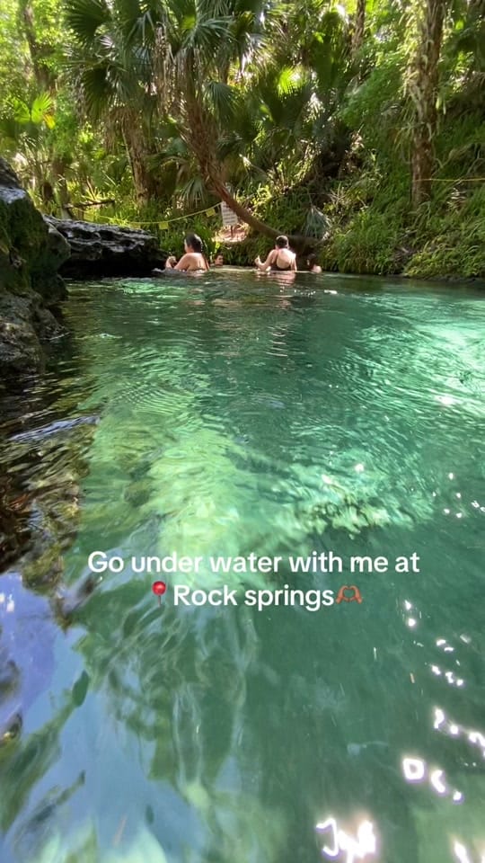 Post 10 by seaddyction on TikTok (video)