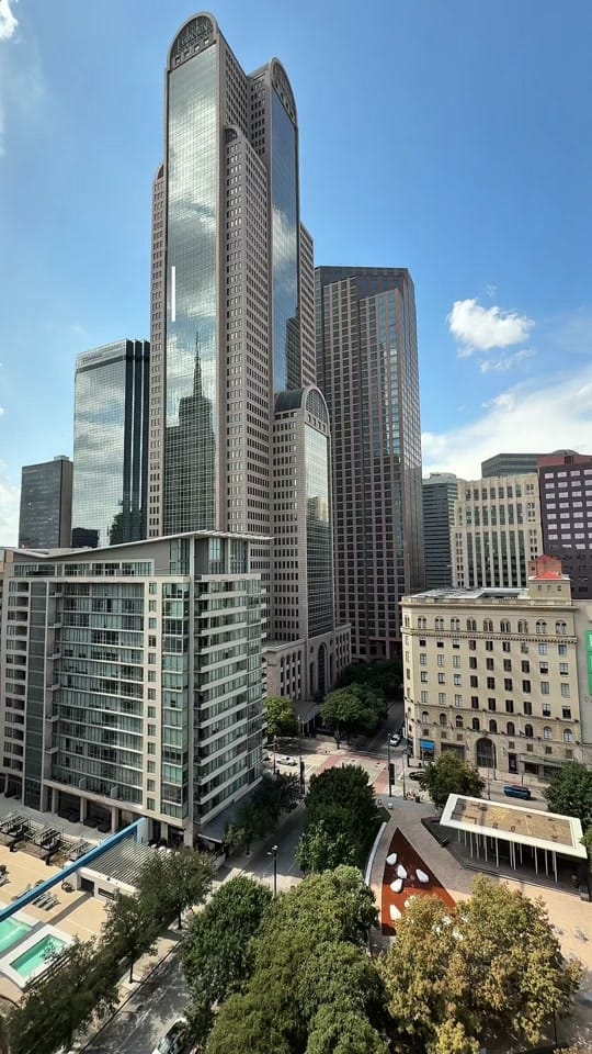 Post 8 by Viadiane | Dallas Creator ✨✈️ on TikTok (video)