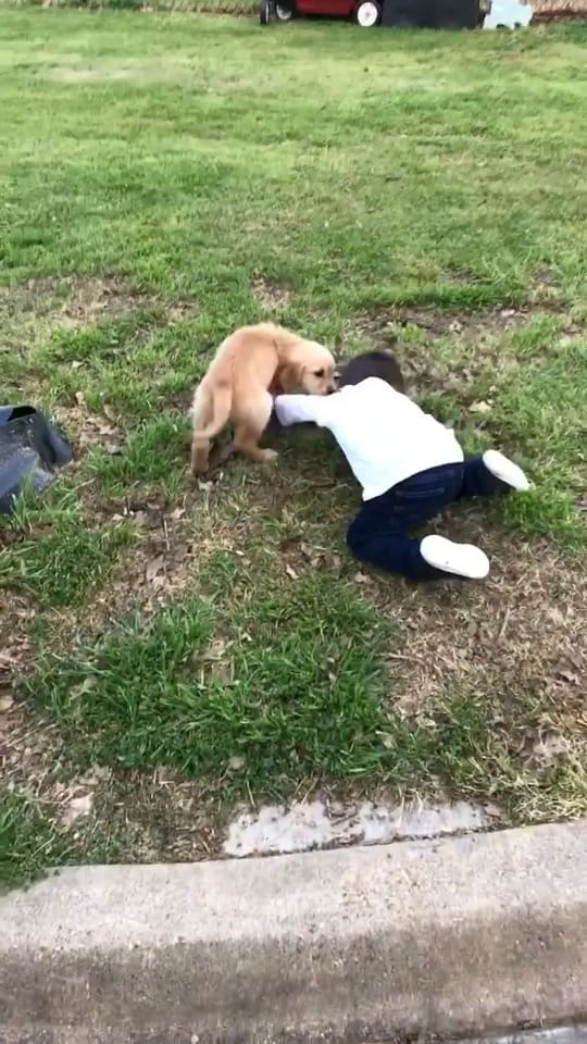Post 10 by 💕 Stephanie 💕 on TikTok (video)