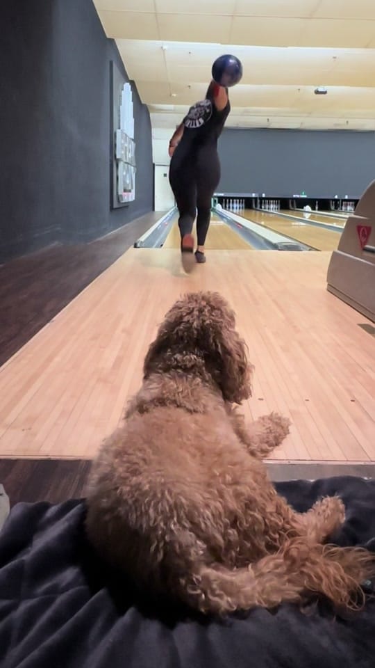 Post 7 by Danielle McEwan on TikTok (video)