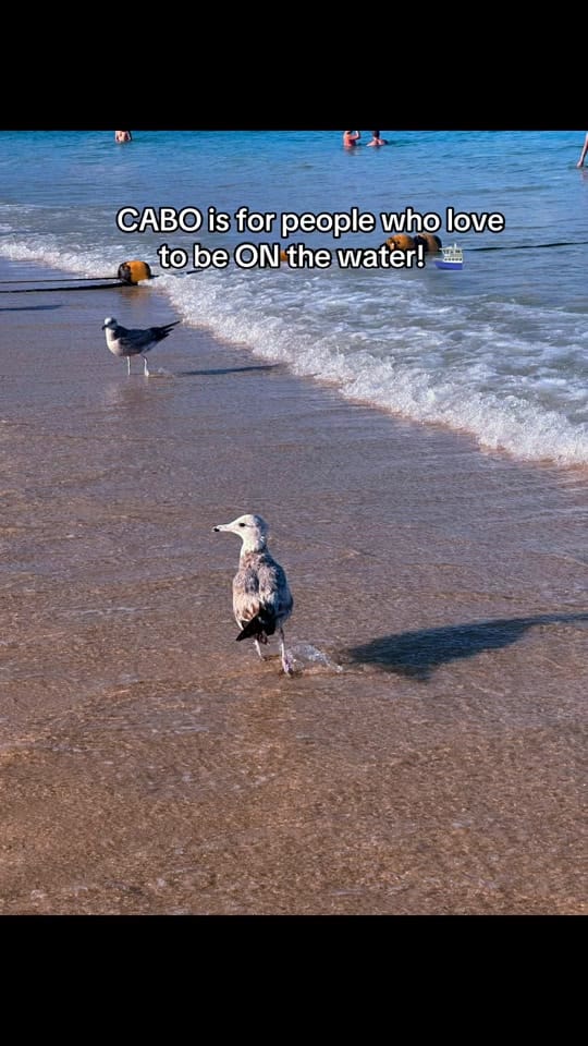 Post 7 by Broken Bow Travel on TikTok (video)