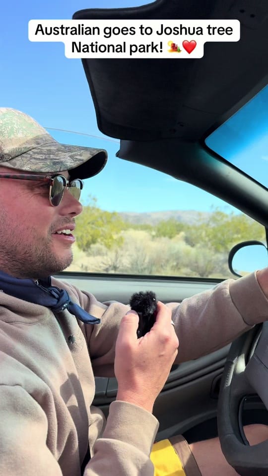 Post 7 by Jesse Willesee on TikTok (video)