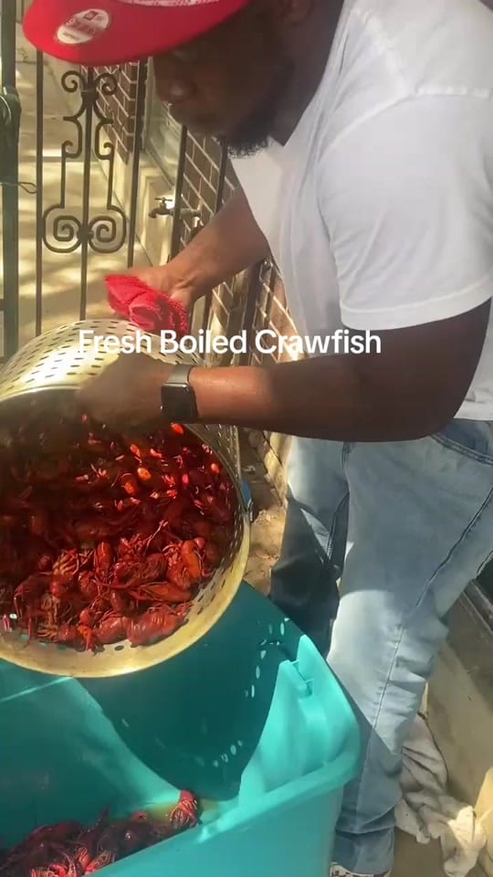 Post 2 by Rowzay on TikTok (video)