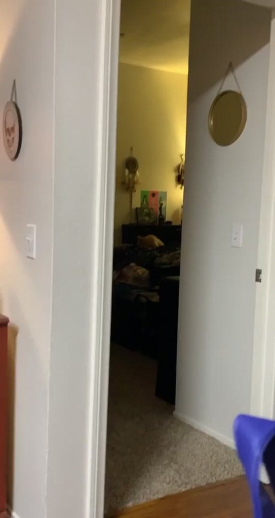 Post 9 by 🎃Kaitlyn🎃 on TikTok (video)