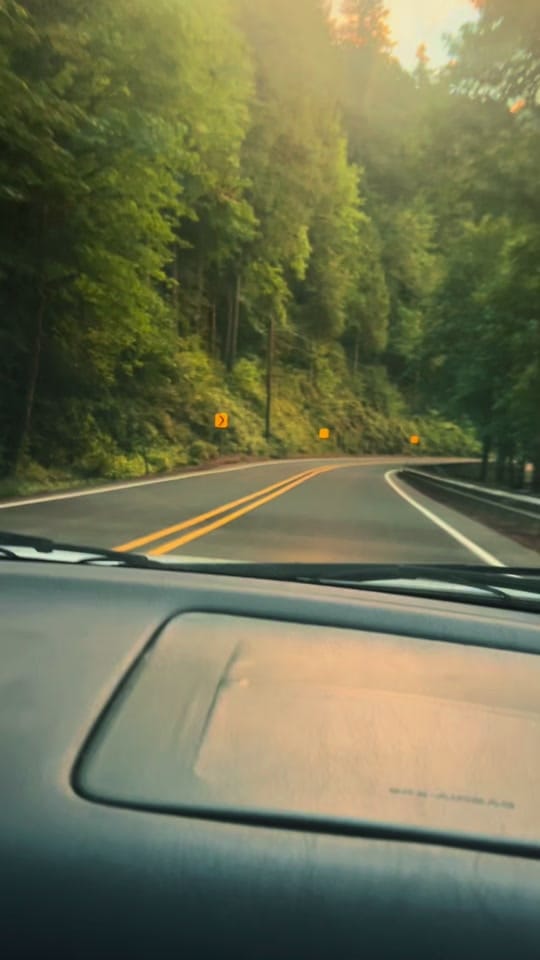 Post 1 by Shay🐞 on TikTok (video)