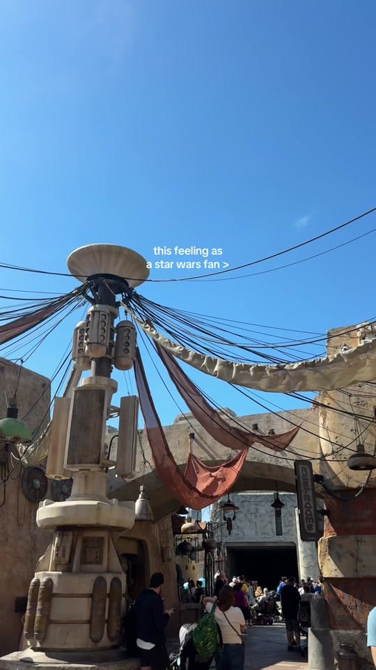 Post 2 by Lex Smith on TikTok (video)