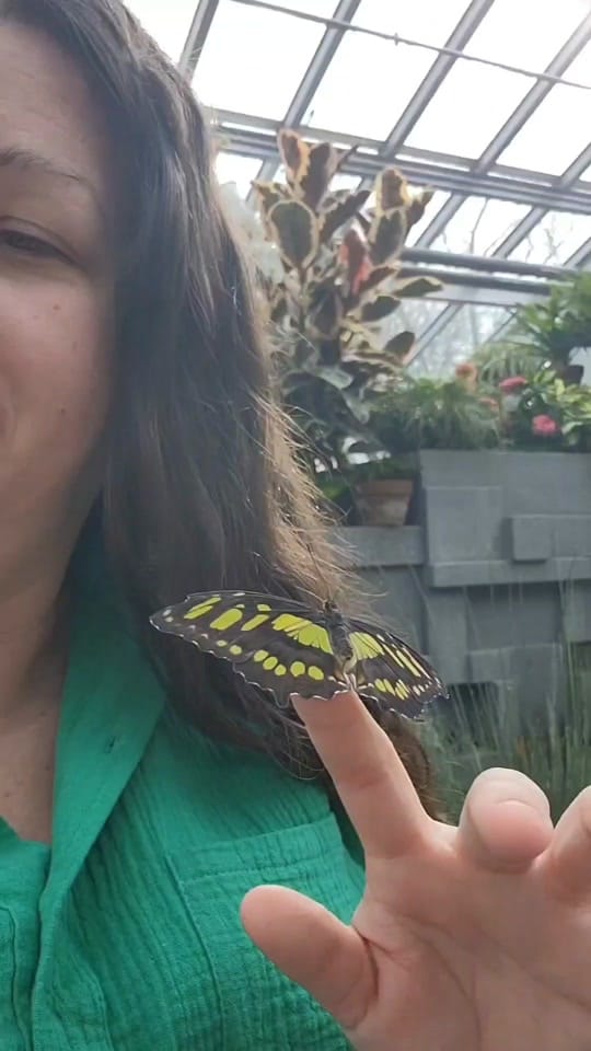 Post 8 by Cassondra Wanders on TikTok (video)