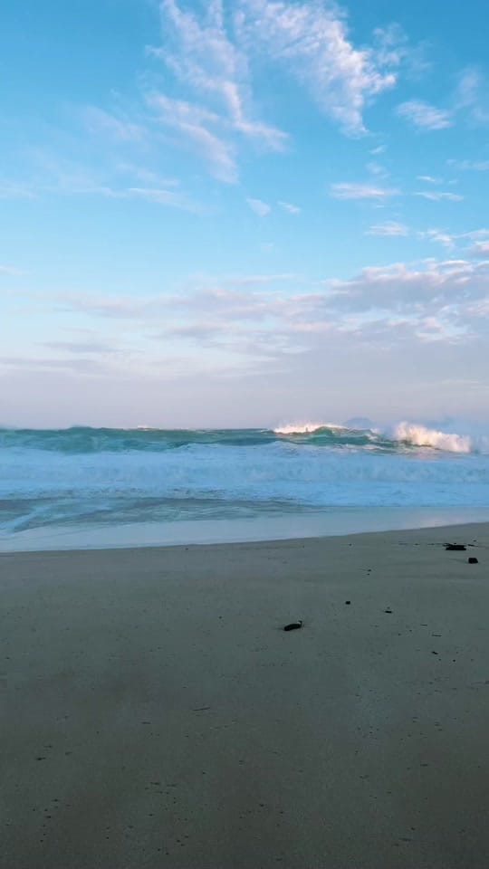 Post 9 by Shaka Guide on TikTok (video)