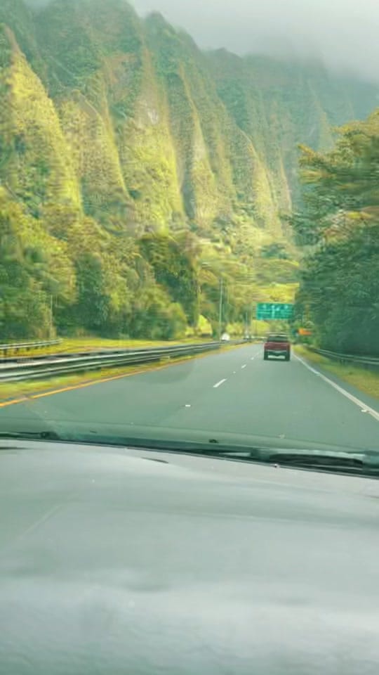 Post 10 by Shaka Guide on TikTok (video)
