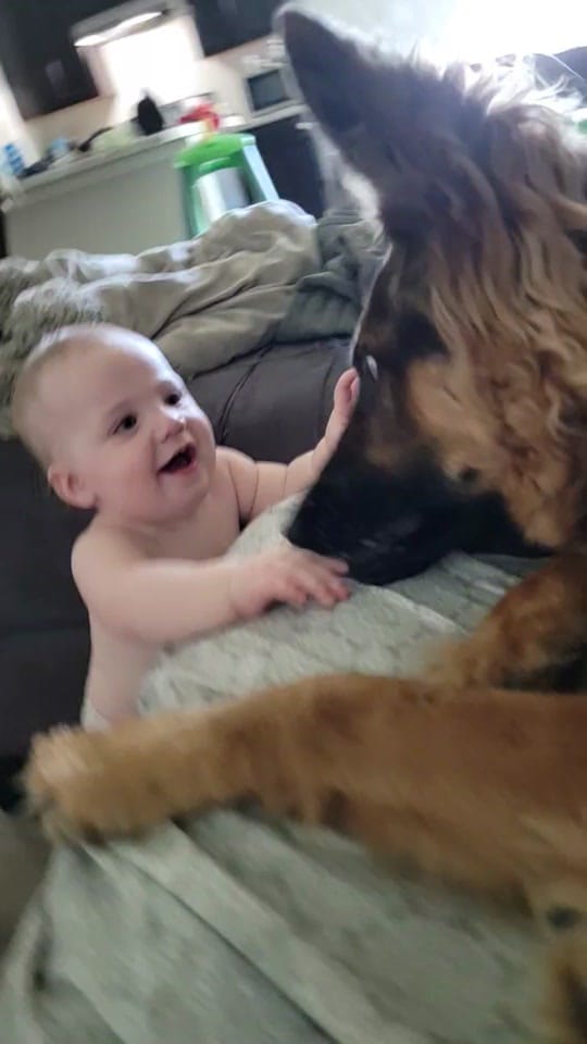 Post 5 by Jessica Berlin on TikTok (video)