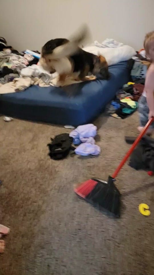 Post 4 by Jessica Berlin on TikTok (video)