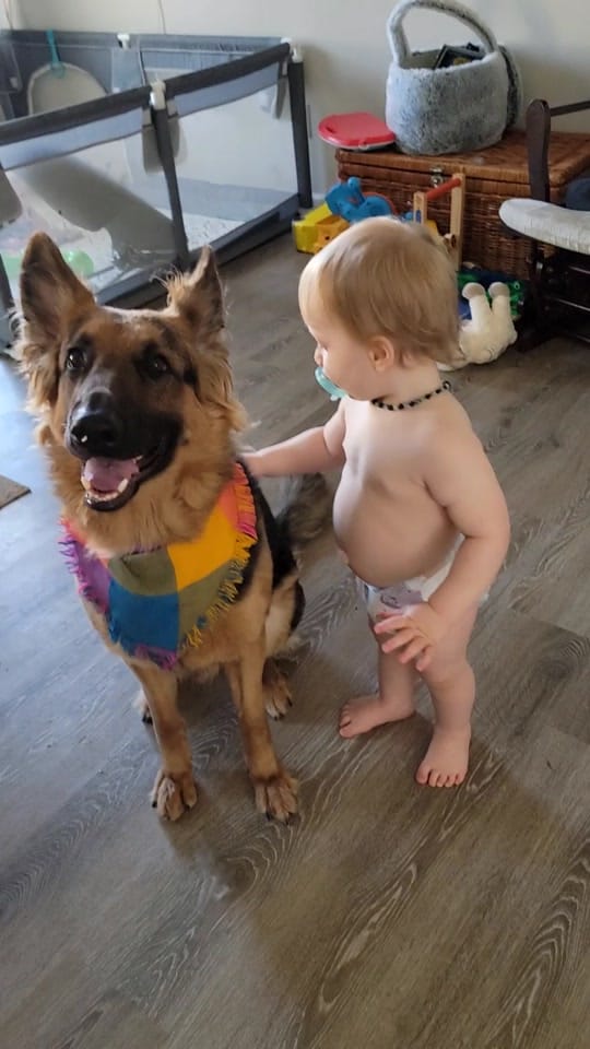 Post 8 by Jessica Berlin on TikTok (video)