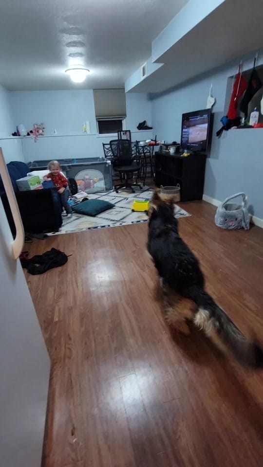 Post 6 by Jessica Berlin on TikTok (video)