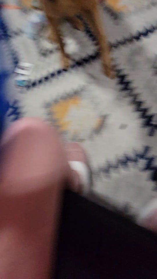 Post 7 by Jessica Berlin on TikTok (video)