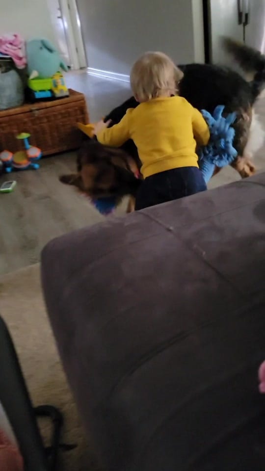 Post 9 by Jessica Berlin on TikTok (video)