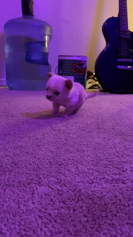 Post 10 by mac__92 on TikTok (video)