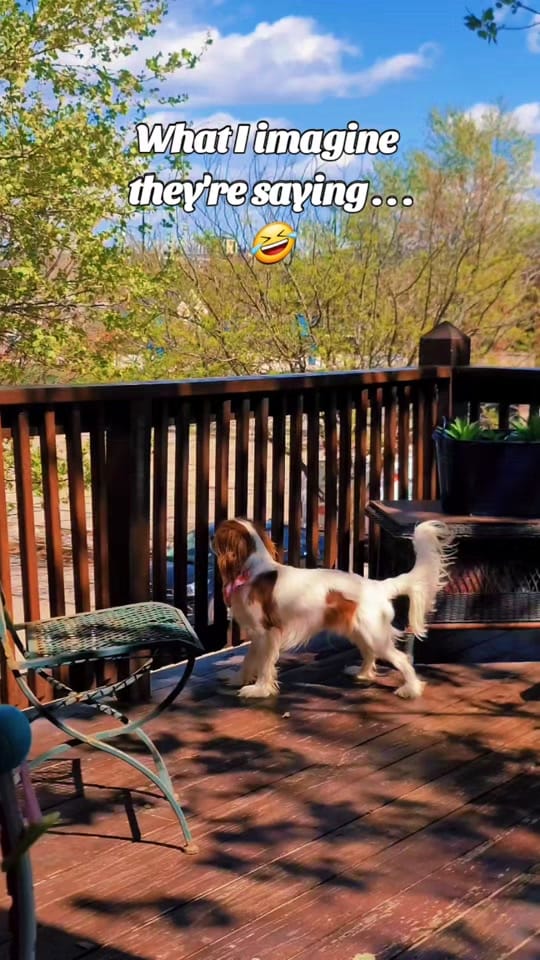 Post 10 by ✨️Danelle✨️ on TikTok (video)
