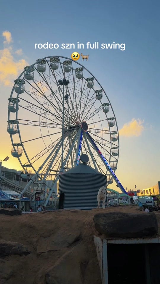 Post 7 by rodeomillie on TikTok (video)