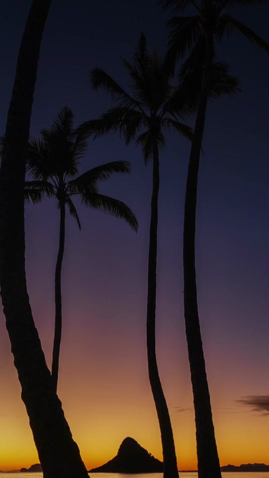 Post 4 by justindk on TikTok (video)