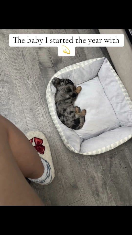 Post 2 by J O J I S on TikTok (video)