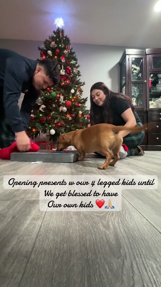 Post 6 by J O J I S on TikTok (video)