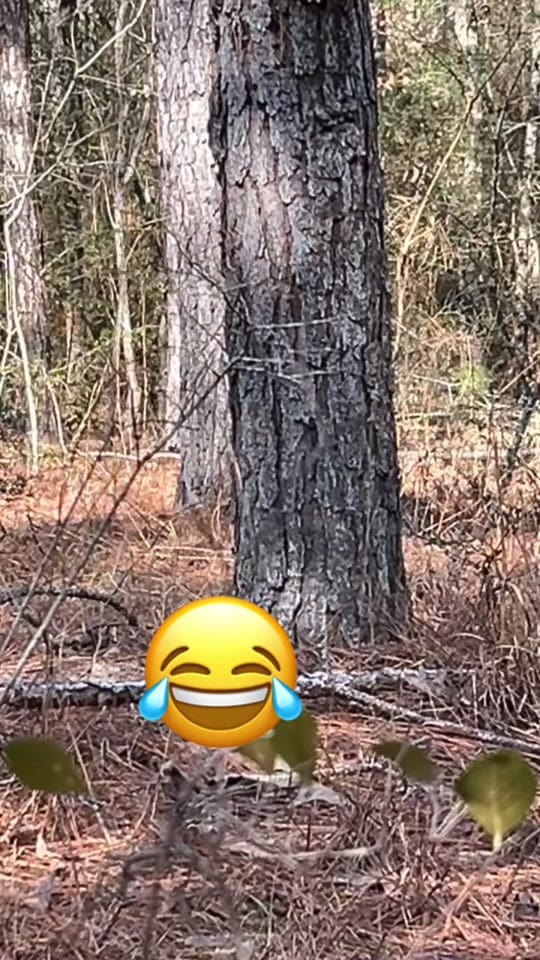Post 3 by David Fendley162 on TikTok (video)