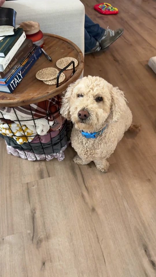 Post 5 by abbey | Travel Advisor on TikTok (video)