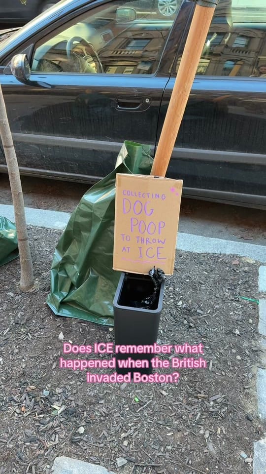 Post 8 by Savannah Allowitz on TikTok (video)