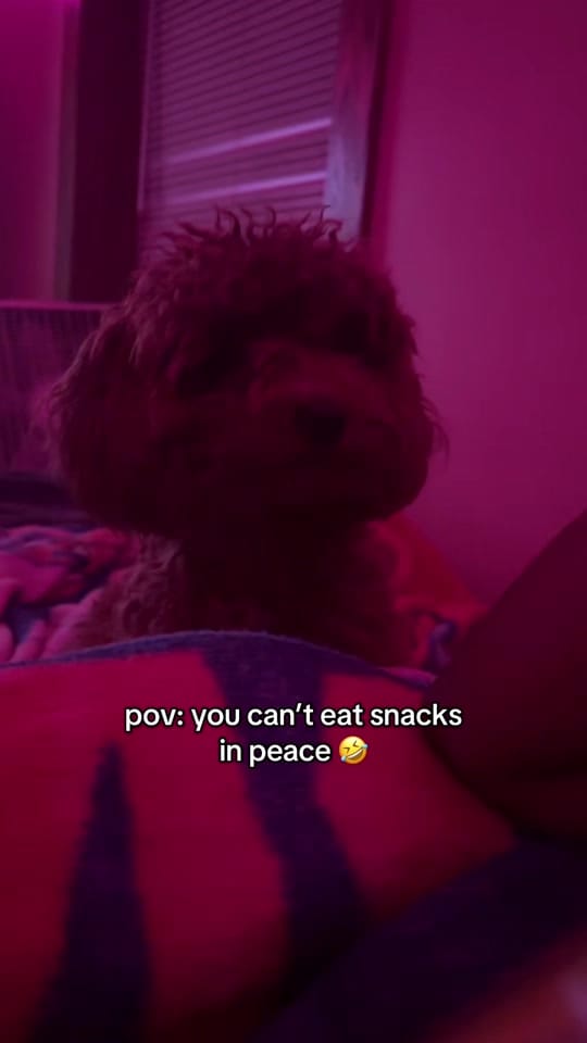 Post 5 by goddess🌸 on TikTok (video)