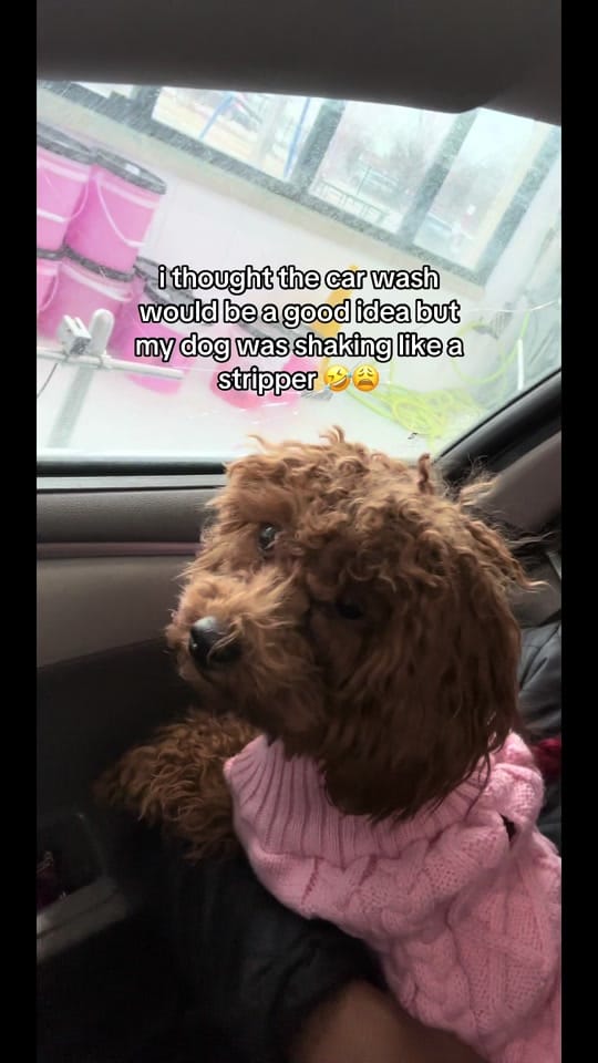 Post 2 by goddess🌸 on TikTok (video)