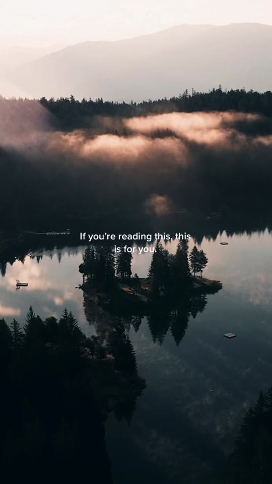 Post 9 by T O N Y L O P E Z on TikTok (video)