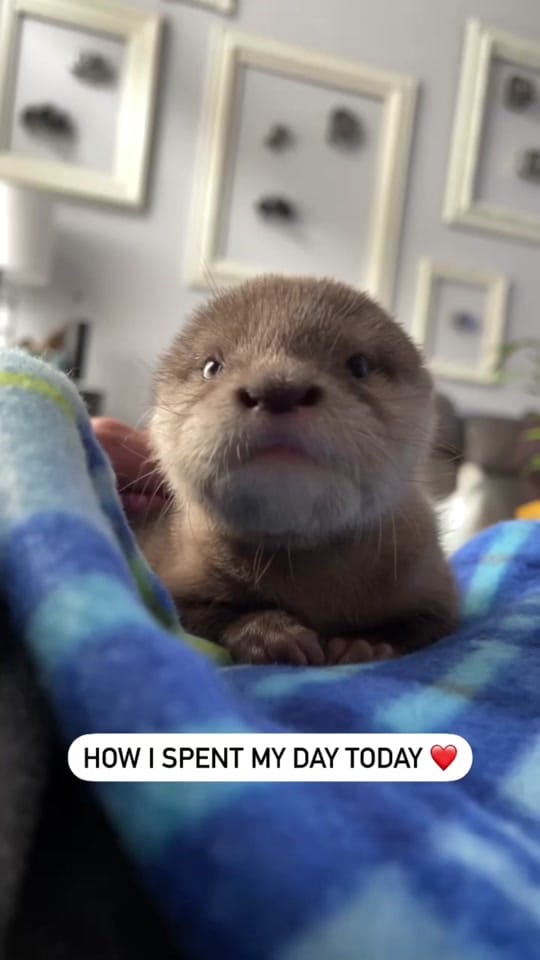 Post 5 by jcaphotography on TikTok (video)