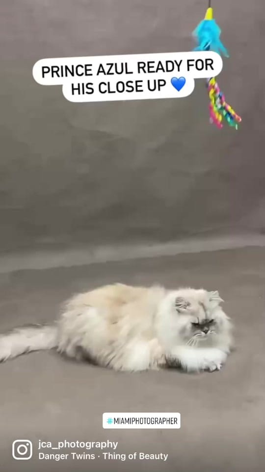 Post 7 by jcaphotography on TikTok (video)