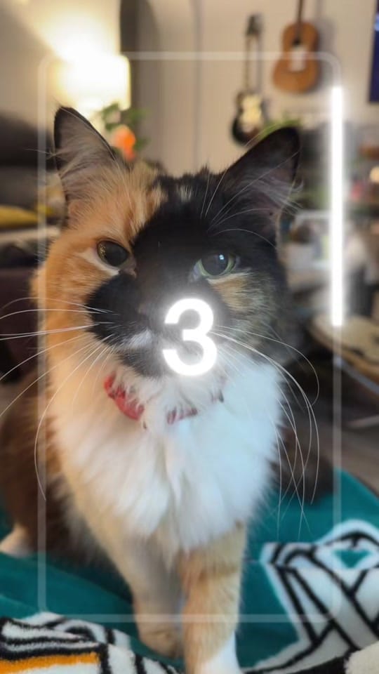 Post 2 by jcaphotography on TikTok (video)