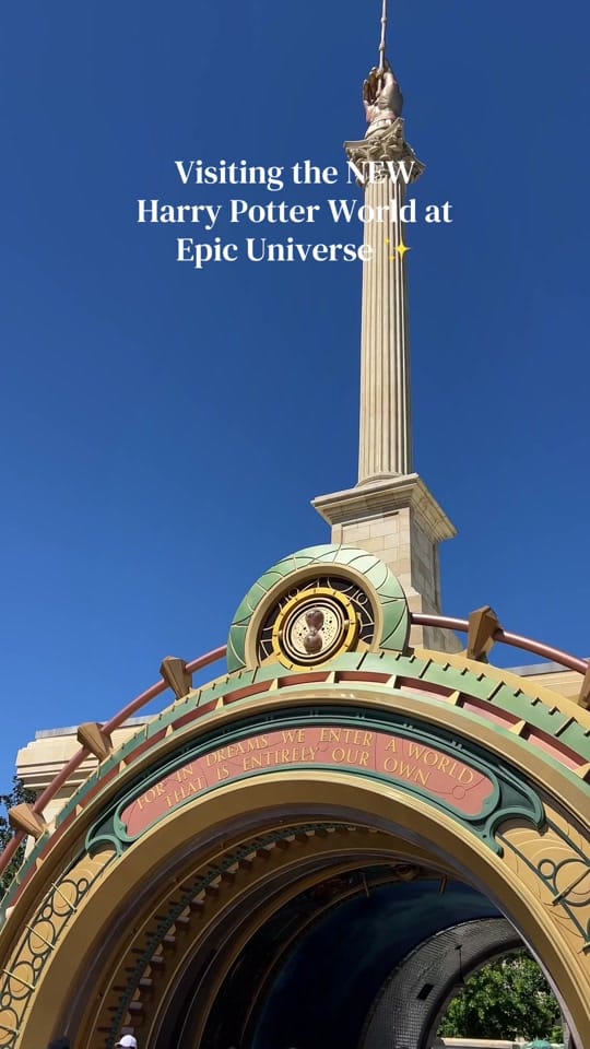Post 6 by Emily Silver on TikTok (video)