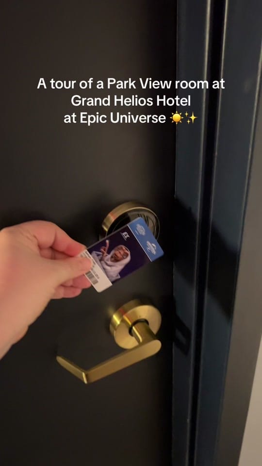 Post 1 by Emily Silver on TikTok (video)
