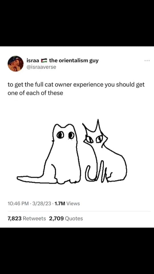 Post 3 by Trista Trinanes on TikTok (video)