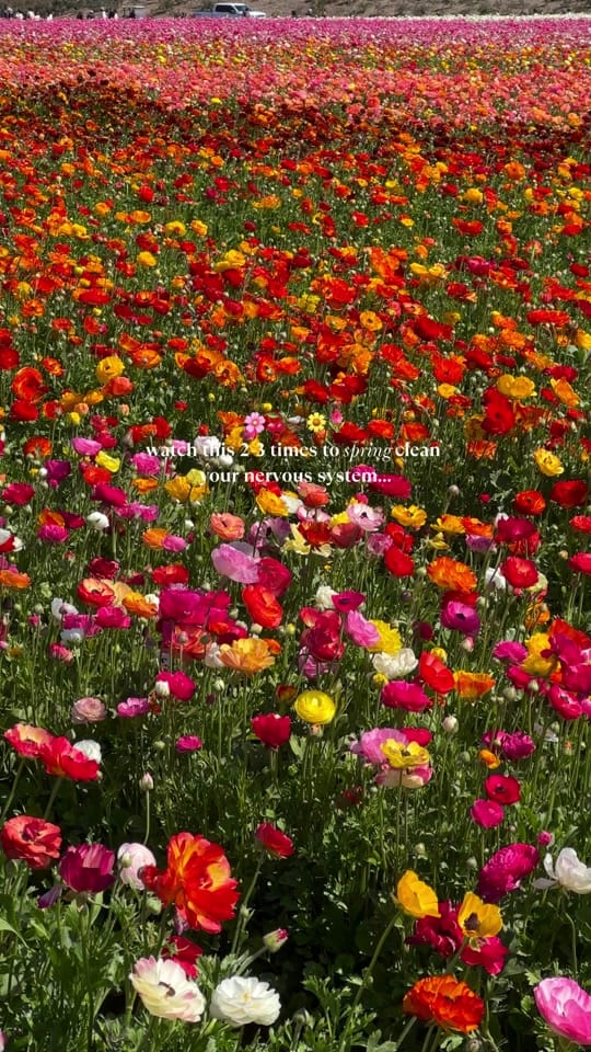 Post 6 by Courtney | Travel + Lifestyle on TikTok (video)