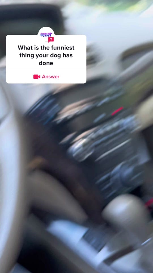 Post 3 by Periapsis Studios on TikTok (video)